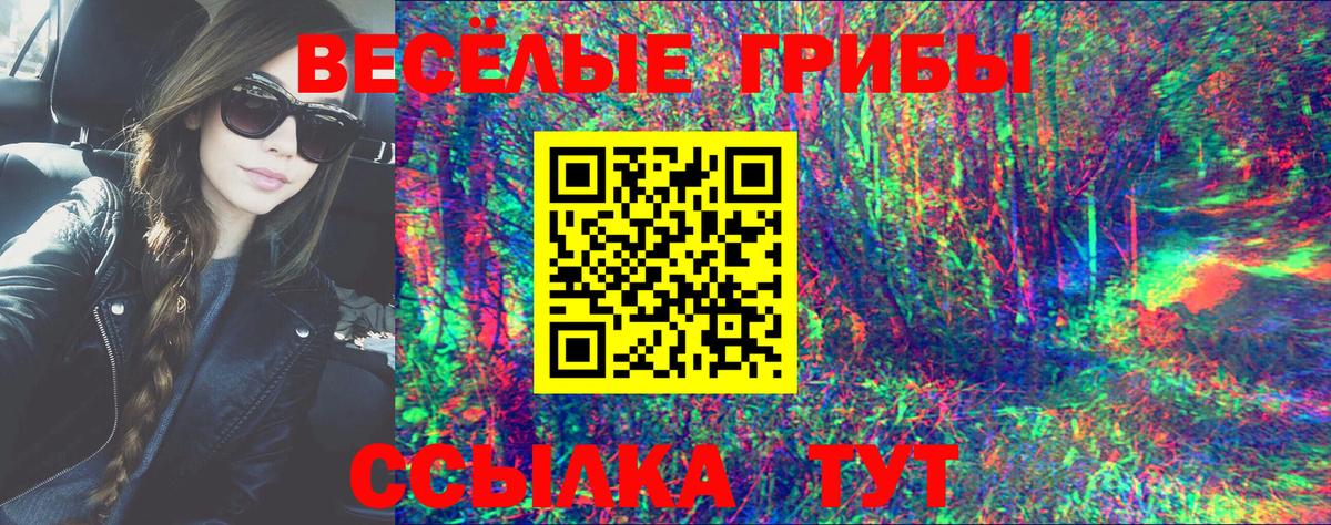 Псилоцибиновые грибы Cubensis Елабуга