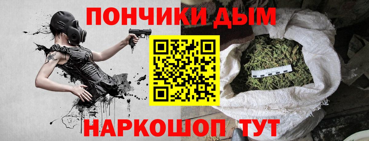 Каннабис сатива Елабуга